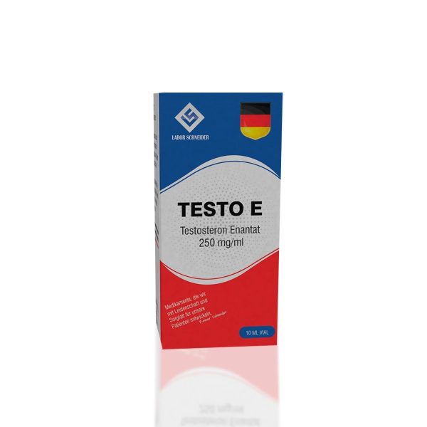 Verpackung Testo E 250 mg Labor Schneider